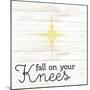 Fall on Your Knees-Kim Allen-Mounted Art Print