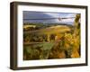 Fall Over the Knudsen and Bella Vida Vineyards, Willamette Valley, Oregon, USA-Janis Miglavs-Framed Photographic Print