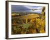 Fall Over the Knudsen and Bella Vida Vineyards, Willamette Valley, Oregon, USA-Janis Miglavs-Framed Photographic Print