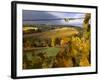 Fall Over the Knudsen and Bella Vida Vineyards, Willamette Valley, Oregon, USA-Janis Miglavs-Framed Photographic Print