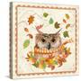 Fall Owl-Fiona Stokes-Gilbert-Stretched Canvas