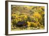 Fall Pallet-Dan Ballard-Framed Photographic Print