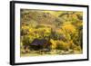 Fall Pallet-Dan Ballard-Framed Photographic Print