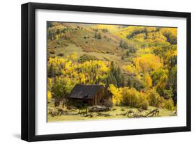 Fall Pallet-Dan Ballard-Framed Photographic Print