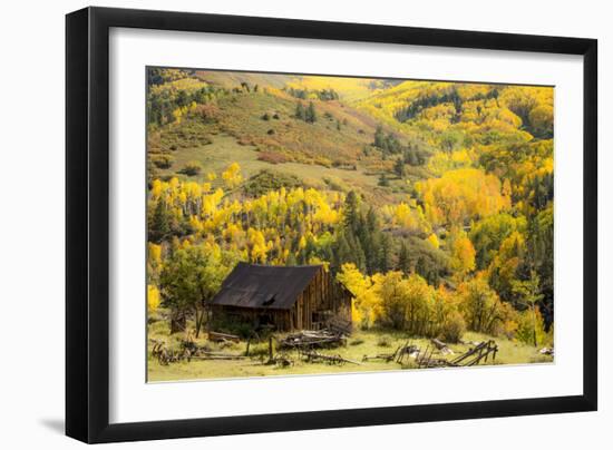 Fall Pallet-Dan Ballard-Framed Photographic Print