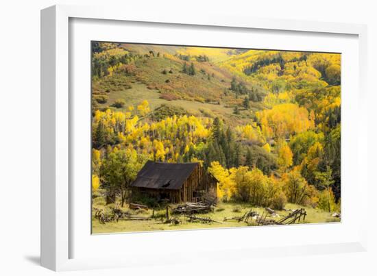 Fall Pallet-Dan Ballard-Framed Photographic Print