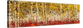 Fall Panoraspen-Roderick E. Stevens-Stretched Canvas