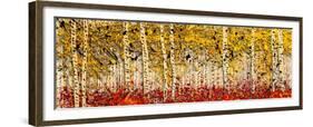 Fall Panoraspen-Roderick E. Stevens-Framed Giclee Print