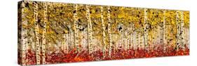 Fall Panoraspen-Roderick E. Stevens-Stretched Canvas