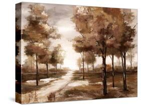 Fall Park-null-Stretched Canvas