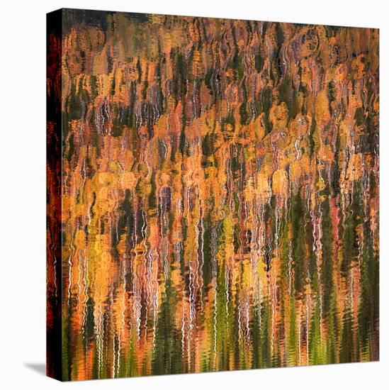 Fall Party-Ursula Abresch-Stretched Canvas