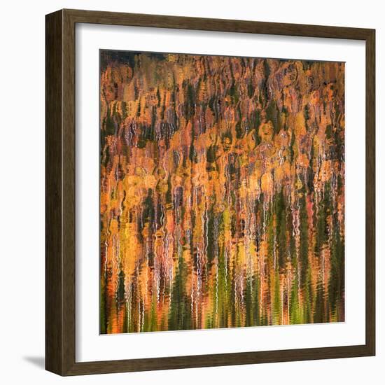 Fall Party-Ursula Abresch-Framed Photographic Print