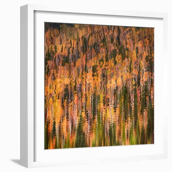 Fall Party-Ursula Abresch-Framed Photographic Print