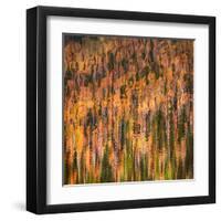 Fall Party-Ursula Abresch-Framed Premium Photographic Print