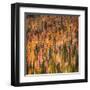 Fall Party-Ursula Abresch-Framed Premium Photographic Print