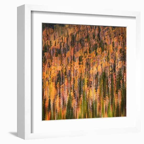 Fall Party-Ursula Abresch-Framed Premium Photographic Print