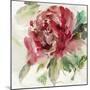 Fall Peony II-Asia Jensen-Mounted Art Print