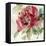 Fall Peony II-Asia Jensen-Framed Stretched Canvas