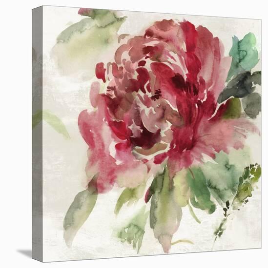 Fall Peony II-Asia Jensen-Stretched Canvas