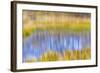 Fall Pond I-Kathy Mahan-Framed Photographic Print