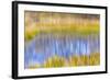Fall Pond I-Kathy Mahan-Framed Photographic Print