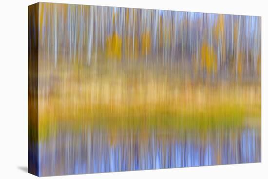Fall Pond II-Kathy Mahan-Stretched Canvas