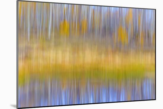 Fall Pond II-Kathy Mahan-Mounted Photographic Print