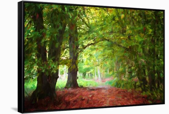 Fall Prémices-Philippe Sainte-Laudy-Framed Stretched Canvas