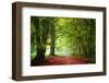 Fall Prémices-Philippe Sainte-Laudy-Framed Photographic Print