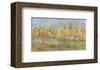 Fall Preview-Amy Dixon-Framed Giclee Print