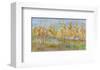 Fall Preview-Amy Dixon-Framed Giclee Print