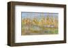 Fall Preview-Amy Dixon-Framed Art Print