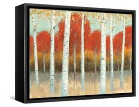 Fall Promenade I Crop-James Wiens-Framed Stretched Canvas