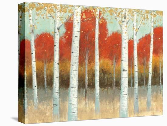 Fall Promenade I Crop-James Wiens-Stretched Canvas