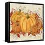 Fall Pumpkins-A-Jean Plout-Framed Stretched Canvas