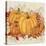 Fall Pumpkins-A-Jean Plout-Stretched Canvas