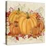 Fall Pumpkins-A-Jean Plout-Stretched Canvas