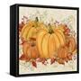 Fall Pumpkins-A-Jean Plout-Framed Stretched Canvas