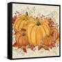 Fall Pumpkins-A-Jean Plout-Framed Stretched Canvas