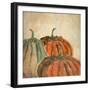 Fall Pumpkins-Kimberly Allen-Framed Premium Giclee Print