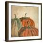 Fall Pumpkins-Kimberly Allen-Framed Premium Giclee Print