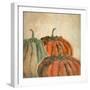 Fall Pumpkins-Kimberly Allen-Framed Premium Giclee Print