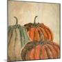 Fall Pumpkins-Kimberly Allen-Mounted Premium Giclee Print