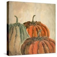 Fall Pumpkins-Kimberly Allen-Stretched Canvas