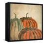 Fall Pumpkins-Kimberly Allen-Framed Stretched Canvas