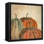 Fall Pumpkins-Kimberly Allen-Framed Stretched Canvas