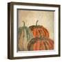 Fall Pumpkins-Kimberly Allen-Framed Art Print