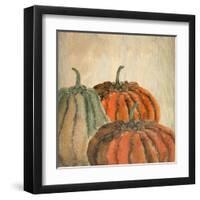 Fall Pumpkins-Kimberly Allen-Framed Art Print