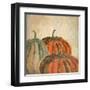 Fall Pumpkins-Kimberly Allen-Framed Art Print