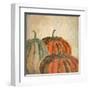 Fall Pumpkins-Kimberly Allen-Framed Art Print